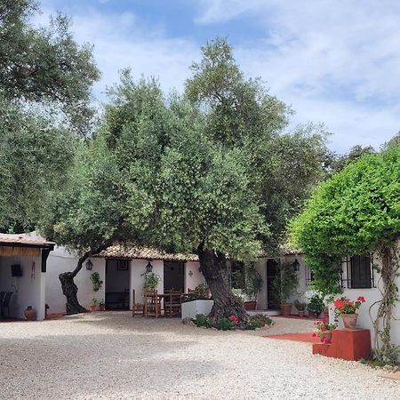 Casa Abanto Villa Ronda Buitenkant foto