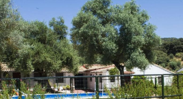 Casa Abanto Villa Ronda Buitenkant foto