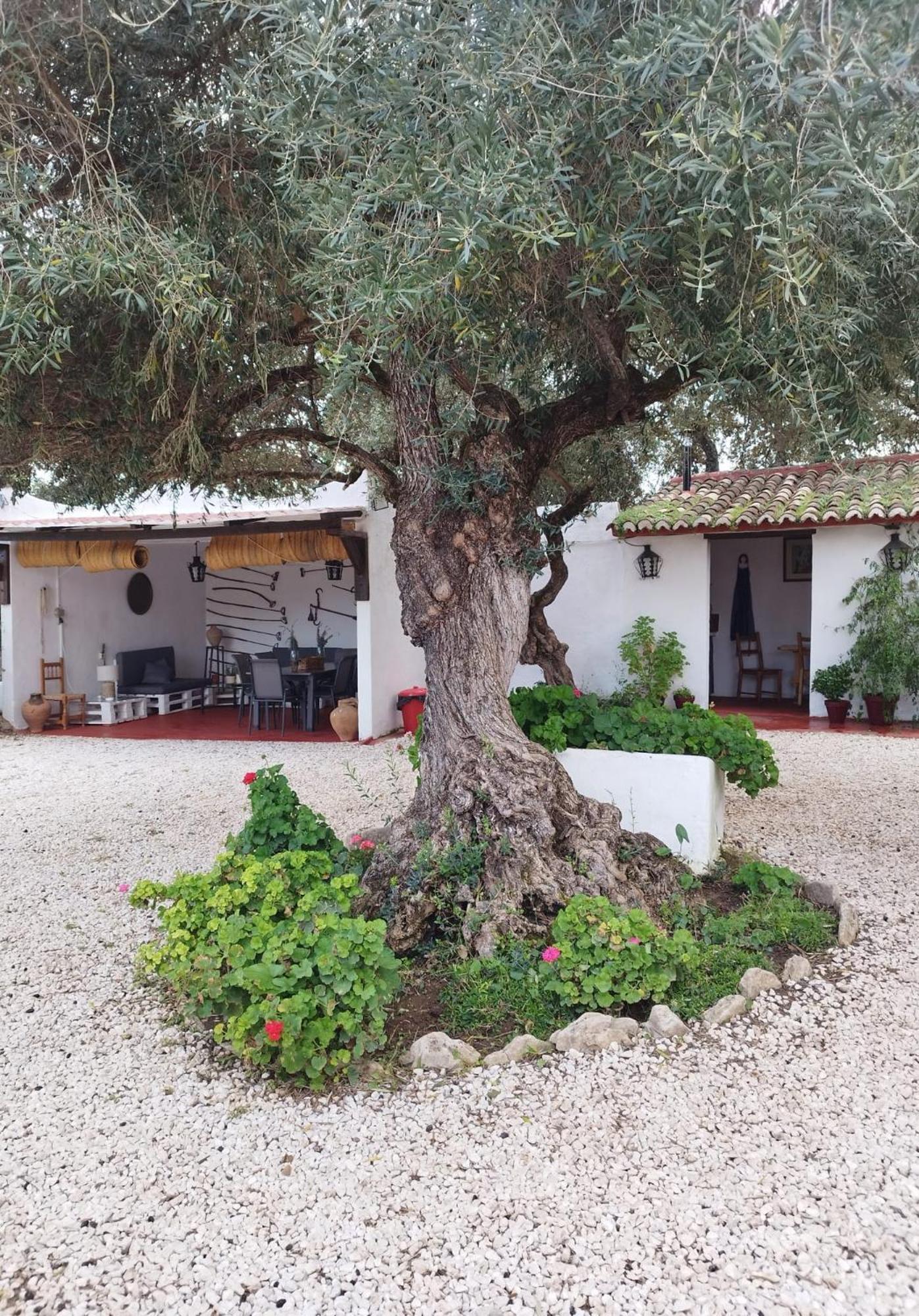 Casa Abanto Villa Ronda Buitenkant foto